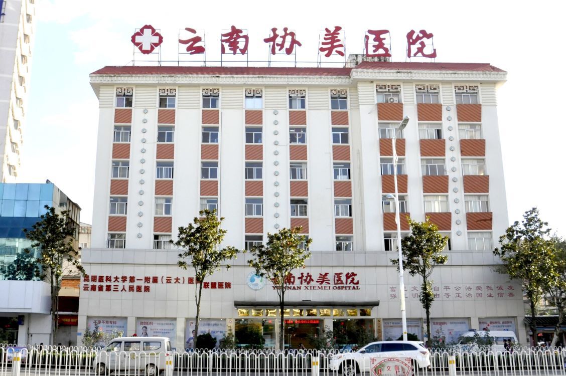 云南協美醫院（原協和）服務評價與月經期間同房的健康分析